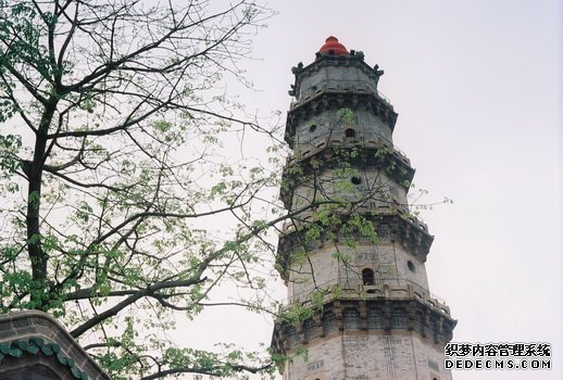 ����ǧ���Ĺ��� ���ں���