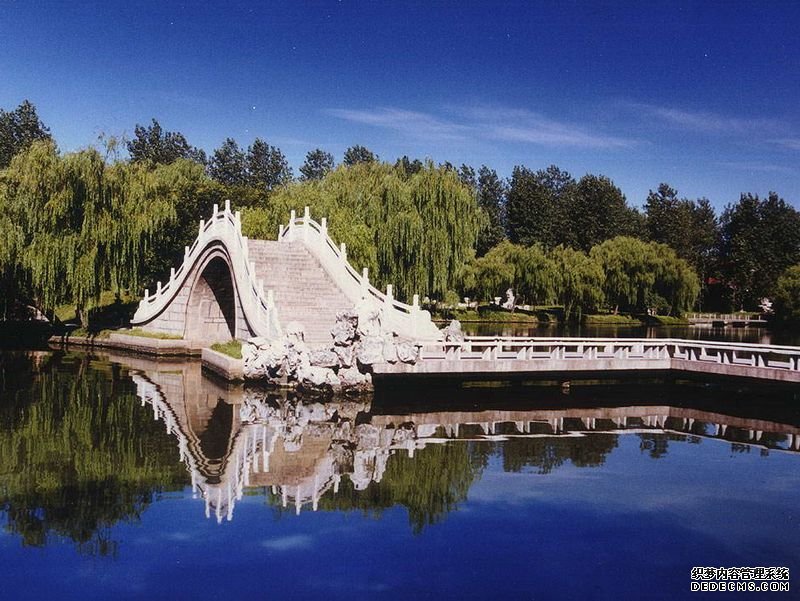 �����Ļ����й��Ŵ�ʯ�Ž�����Ӱ��